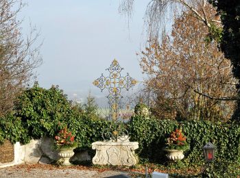 Percorso A piedi Kremsmünster - Wolfgangweg - Wanderweg 45 - Photo