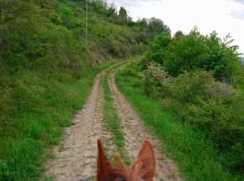 Trail Horseback riding Clémensat - Clémensat, Lavelle et le tour du puy Lavelle  - Photo
