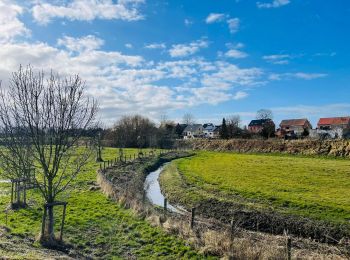 Tocht Stappen Sint-Truiden - La vallée du ruisseau Cicindria à Saint-Trond (petite) - Photo