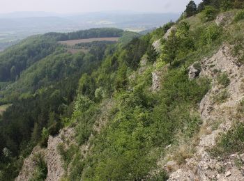 Trail On foot Treffurt - Adolfsburgstieg - Photo