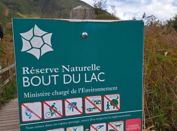 Excursión Senderismo Doussard - Réserve du bout du lac - Photo