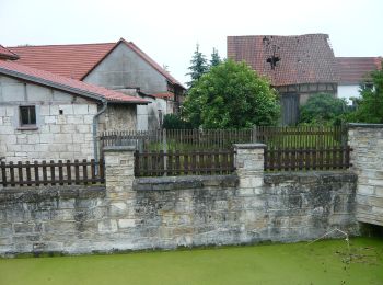 Percorso A piedi Sondershausen - Grünes Quadrat - Photo