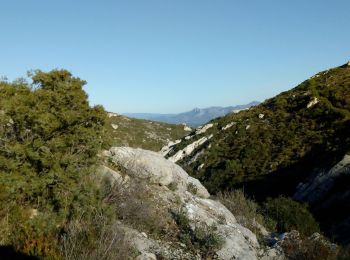 Trail Mountain bike Marseille - vallon de la barrasse - Photo