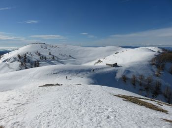 Randonnée Raquettes à neige Moulinet - authion - Photo