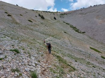 Trail Walking Bédoin - du chalet renard au sommet du ventoux - Photo