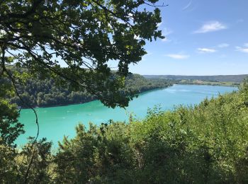 Tocht Stappen Doucier - Tour du lac chalain  - Photo