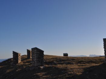 Trail Walking Saint-Agnan-en-Vercors - Montagne de Beure et But Sapiau - Photo