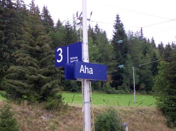 Trail On foot Schluchsee - Aha - Altglashütten - Photo