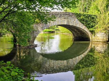 Trail Walking Yerres - Boucle 30 km Sénart et bords de l'YERRES - Photo