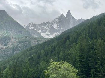 Trail Walking Chamonix-Mont-Blanc - Chamonix : Les Bois - le chapeau  - Photo