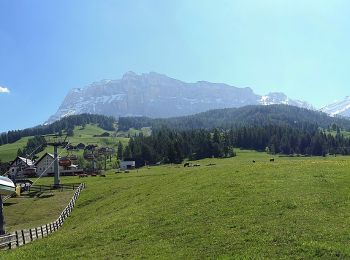 Randonnée A pied La Val - Wengen - La Valle - IT-8 - Photo