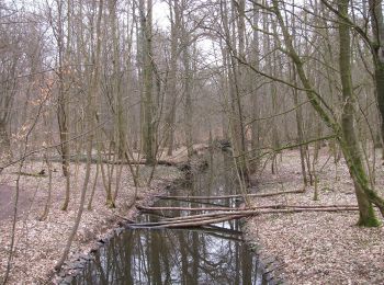 Randonnée A pied Inconnu - Grüngürtelwanderweg - Photo