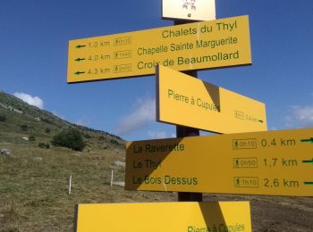 Tour Wandern Saint-Michel-de-Maurienne - Le Thyl, pré Bérard - Photo