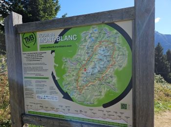 Trail Walking Saint-Gervais-les-Bains - J15 - R14 - Bellevue - Col de Voza - Bionnassay - Le Planet - L'Are - Photo