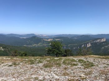 Excursión Senderismo Bernedo - La falaise de la Muela- San Roman de Campezo - Photo