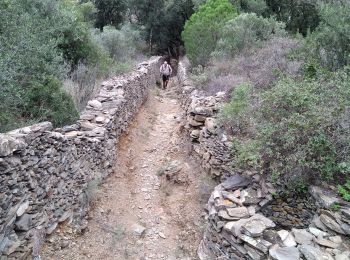 Tour Wandern Llançà - Llencai Port de la Selva - Photo