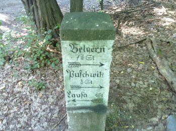 Randonnée A pied Belgern-Schildau - Belgern-Pfarrbrücke - Photo