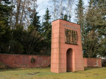 Tour Zu Fuß Fischbach - Mönchsweg 1 - Photo