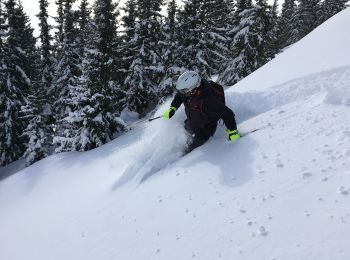 Randonnée A pied Disentis/Mustér - Caischavedra - Bostg - Photo