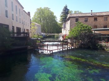 Randonnée Marche Cabrières-d'Avignon - carrière mûr de la peste - Photo