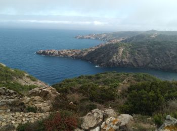 Trail Walking el Port de la Selva - Port de la Selva Cadaqués  - Photo