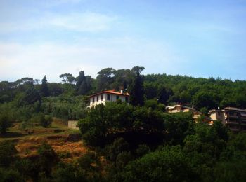 Percorso A piedi Quarrata - Sentiero CAI 300 - Sez. Prato - Photo