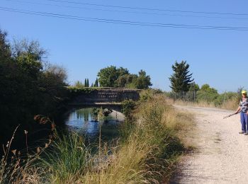 Excursión Senderismo Pernes-les-Fontaines - canal de carpentras - Photo