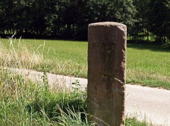 Percorso A piedi Bensheim - Rundwanderweg Bensheim Märkerwald 1: Franksteinweg - Photo