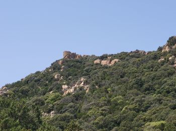 Trail Walking Sartène - Plages de Roccapina et d'Erbaju - Photo