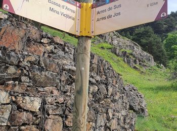 Excursión Senderismo Bossòst - les mines Victoria en boucle  eco rando - Photo