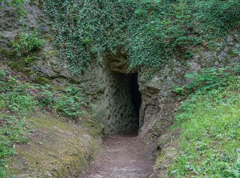 Randonnée A pied Bad Liebenstein - DE-grünes Dreieck - Photo