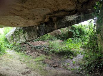 Tocht Stappen Brissac-Loire-Aubance - St Rémy la Varenne - Gennes - Photo