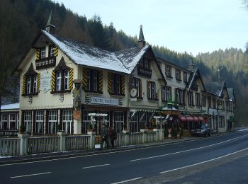 Tour Zu Fuß Harz (LK Goslar) - HK 6: Osterode - Söse - Okertal - Goslar - Photo