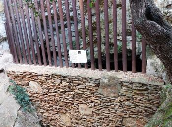 Tour Wandern Cassis - les crêtes du cap Canaille, du pas de la colle à la  grotte des émigrés  - Photo