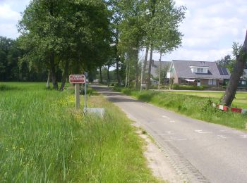 Excursión A pie Twenterand - WNW Twente - Meer - gele route - Photo