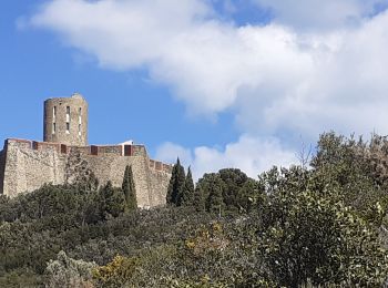 Percorso A piedi Collioure - Collioure 7,6 km 340 m D+ - Photo