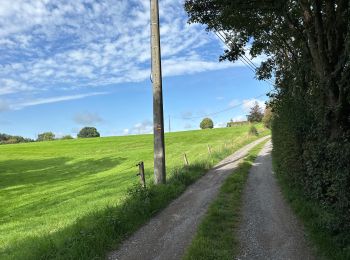 Trail Walking Raeren - Hauset 22,8 km - Photo