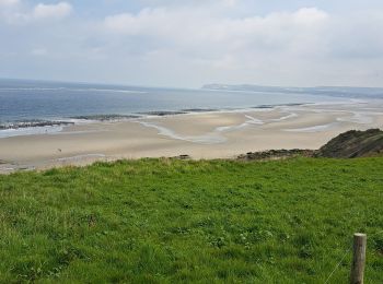 Excursión Marcha nórdica Audinghen - Cap Gris Nez - Photo