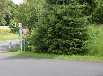 Percorso A piedi Gutsbezirk Kaufunger Wald - Kaufunger Wald, Rundweg 20 - Giesenberg - Photo