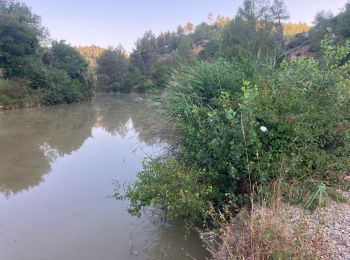 Tocht Trail Sainte-Tulle - Le Trou du Loup(17K 520D+) - Photo