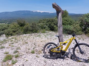 Trail Mountain bike Mormoiron - Traversée Ventoux Sud - Photo