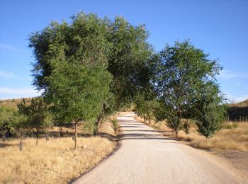 Trail On foot Alcalá de Henares - Ruta del Ecce-Homo - Photo