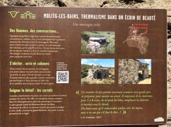 Tour Wandern Molitg-les-Bains - 20210412 autour de Molitg-les-bains - Photo
