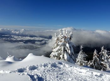 Trail Snowshoes Entremont-le-Vieux - Pointe-la Cochette-2020-12-13 - Photo