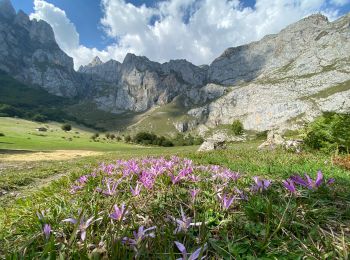 Tour Wandern Camaleño - Fuente De (haut téléphérique au départ téléphérique  - Photo