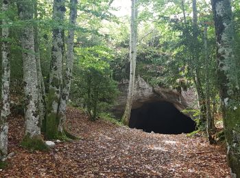 Randonnée Marche Presles - Coulmes - La Fontaine de Pétouze par la grotte des Boeufs  - Photo