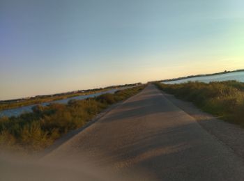 Tocht Wegfiets Le Grau-du-Roi - 30 vélo milodi - Photo