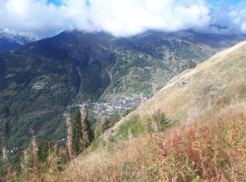 Tocht Stappen Oz - Lacs de l'Alpe d'Huez en circuit - Photo