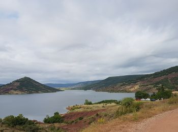 Tour Nordic Walking Celles - Les Vailhés - Lac du Salagou - Photo
