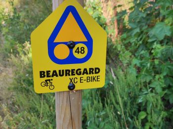 Excursión Bici eléctrica La Clusaz - la Clusaz Beauregard Crêt du merle  - Photo